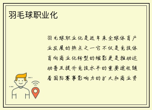 羽毛球职业化